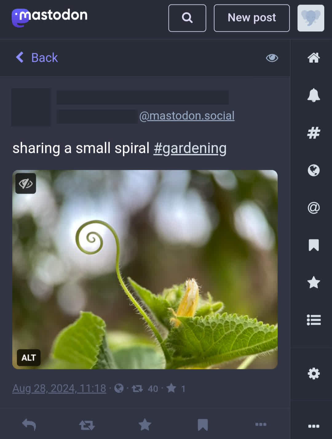 screenshot of mastodon post featuring an image of a spiral-shaped shoot from a plant, with the caption "sharing a small spiral #gardening"