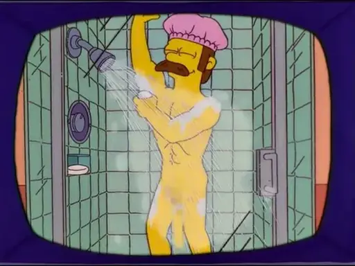 Stupid Sexy Flanders